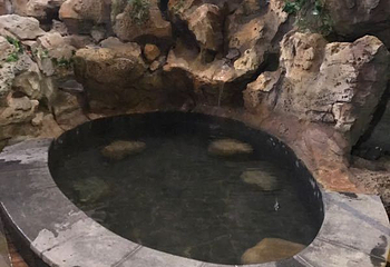 水师森林温泉度假区第 35 张图片