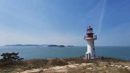 万鸟岛景区第 21 张图片
