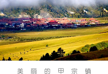 玉科大草原第 8 张图片