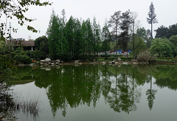 石象湖景区第 14 张图片