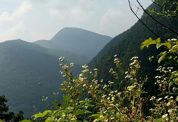 安吉龙王山风景区第 29 张图片
