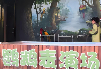 龙沙动植物园第 76 张图片