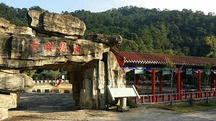 百鸟乐园第 16 张图片
