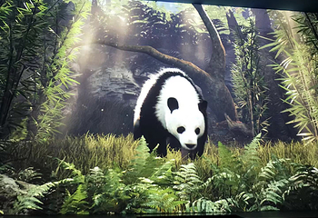 横琴创新方亲子研学中心第 75 张图片