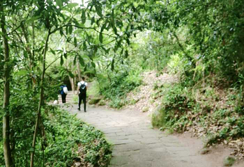 厦门野山谷景区第 40 张图片