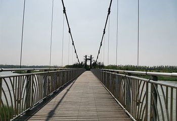 西青郊野公园第 51 张图片