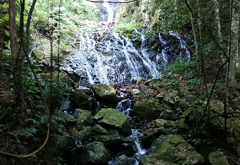 九阜山自然保护区第 19 张图片