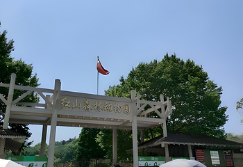 红山森林动物园第 387 张图片