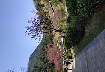 十里蓝山第 72 张图片