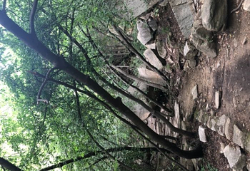 桃源仙谷自然风景区第 51 张图片