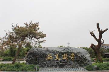 西宁大佛寺第 9 张图片