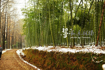 长乐林场第 23 张图片