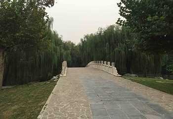 西沽公园第 15 张图片