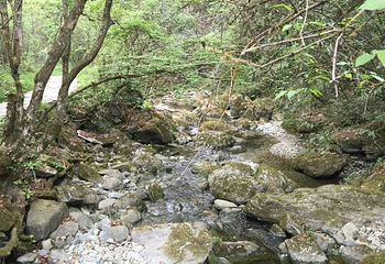 陇南阳坝梅园沟第 16 张图片