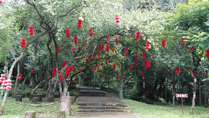大旭山瀑布群第 8 张图片