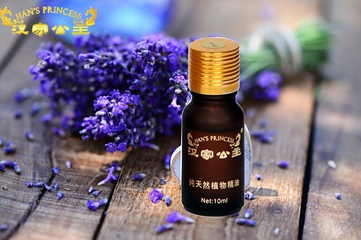 汉家公主薰衣草园第 7 张图片