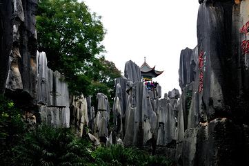 石林风景区第 325 张图片