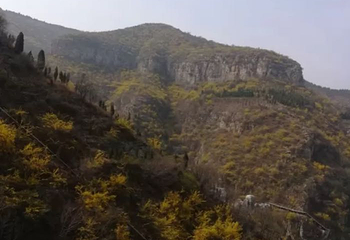 青铜山大峡谷第 40 张图片