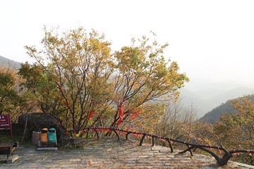绿林山风景区第 64 张图片