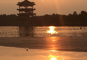 华阳湖国家湿地公园第 68 张图片