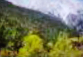冰川公园第 44 张图片