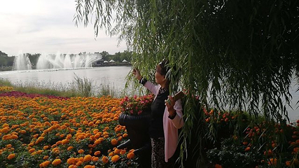 白洋淀梦里水乡第 9 张图片