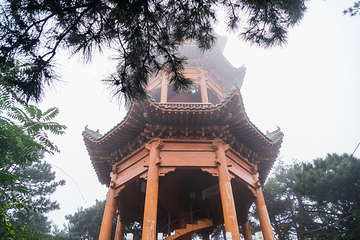 燕子山原始生态旅游风景区第 19 张图片