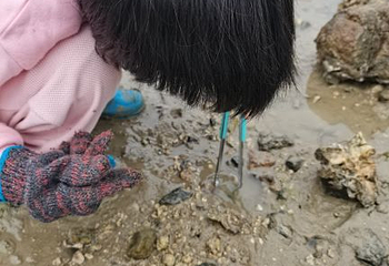 大嶝岛第 17 张图片