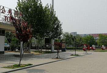 东方公园第 6 张图片