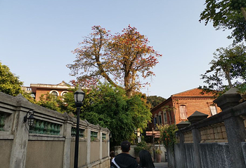 鼓浪屿风景名胜区-三一堂第 8 张图片