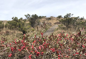 龙泉山旅游区第 46 张图片