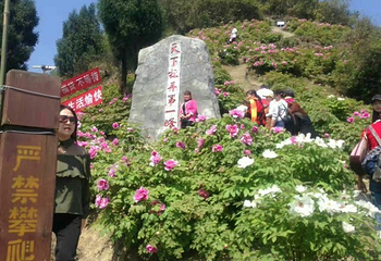 重庆垫江牡丹生态旅游区第 7 张图片