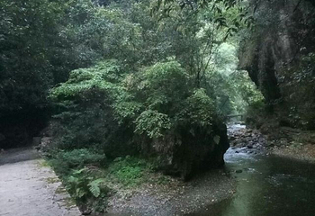 铁溪自然风景区第 23 张图片