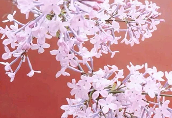 朝阳公园第 226 张图片