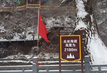 兴隆山自然保护区第 22 张图片