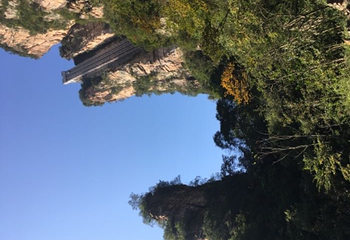 杨家界索道第 5 张图片