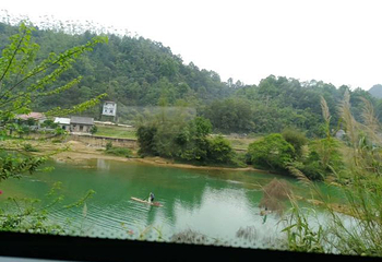 大王岭原始森林第 17 张图片
