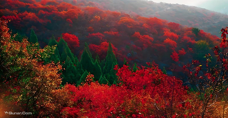 云台山风景名胜区第 44 张图片
