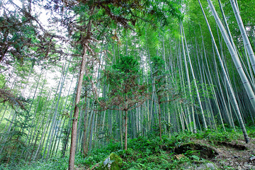 黄沙秘境大峡谷景区第 9 张图片