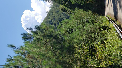 白水洋风景区第 48 张图片