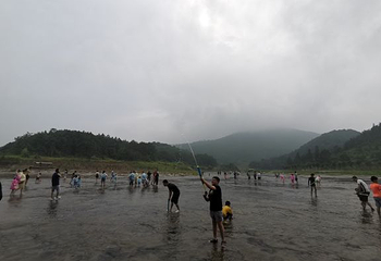 仙水洋第 20 张图片