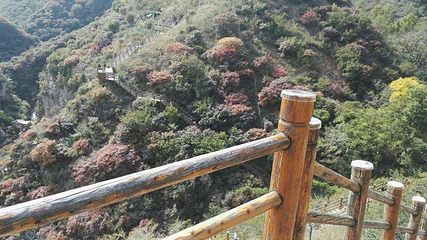 黄花溪景区第 20 张图片