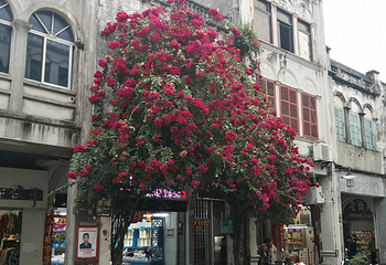 北海老街第 38 张图片