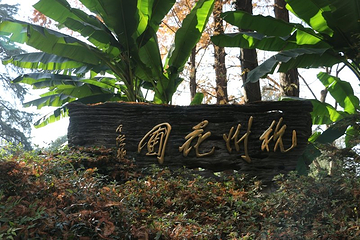 杭州花圃第 12 张图片