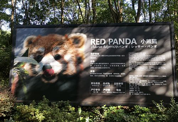 琴台故径第 19 张图片