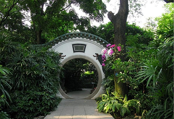 广州兰圃第 38 张图片
