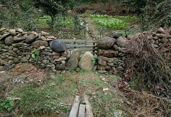 翠岩禅寺第 3 张图片