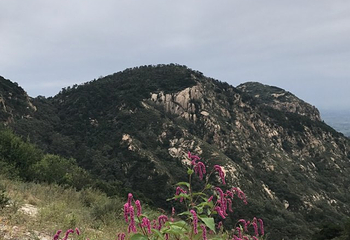 山东香山国际旅游度假区第 19 张图片