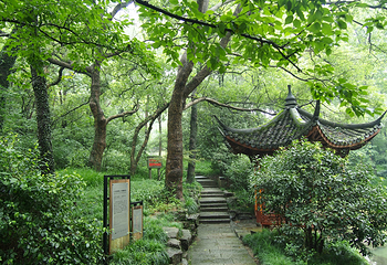 杭州植物园第 33 张图片