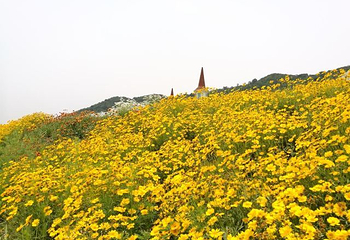 长山薰衣草彩虹小镇第 56 张图片